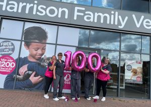 Veterinary surgeon Siân Burwood (second from the right) with her colleagues at Harrison Family Vets in Kingswinford near Dudley