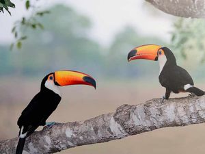 Supporting image for story: Photo exhibition is picture perfect show