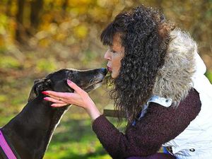 Supporting image for story: Bridgnorth dog whisperer Nikki explains how to talk to your pet pooch