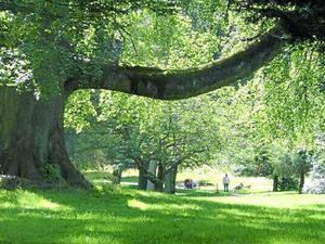 Supporting image for story: Warley Woods operators thankful for Julie Walter's video funding plea