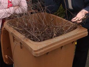 Supporting image for story: Garden waste service cost reduced for season
