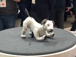 Supporting image for story: Sony’s robotic dog Aibo might have already won CES