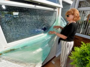 Supporting image for story: 'It could kill someone': Homeowner raises alarm over powerful 'catapult' dangers