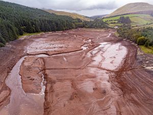 Supporting image for story: Drought declared across whole of Wales despite recent rainfall