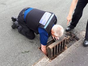 Supporting image for story: Long arm of the law rescues ducklings from Shrewsbury drain