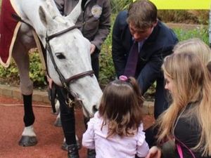 Supporting image for story: Shropshire's 2012 Grand National winner makes visit to children's hospital