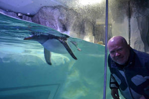 Steve McFadden with a penguin at The National Sea Life Centre Birmingham
