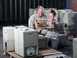 Supporting image for story: How Welsh honey producers are taking next generation of bee farmers under their wings 