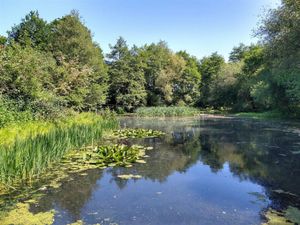 Supporting image for story: £30,000 could get you your own 'private country park' in lovely part of Shropshire