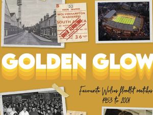 Supporting image for story: Wolves book on golden nights set for release