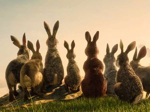 Supporting image for story: Peter Rhodes on scary rabbits, facial bikinis and the ethics of the banking industry