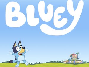 Supporting image for story: CBeebies favourite Bluey set to entertain children in Sutton Coldfield