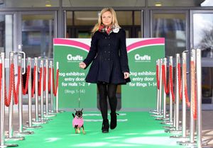 Heidi Ancell-Day, from Crufts, with Ebony - a smooth haired Chihuahua from Walsall