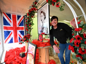 Supporting image for story: The Black Country's creative, striking and emotional tributes created to honour Remembrance Day