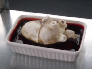 Supporting image for story: School of Art Degree Show, Wolverhampton University - review