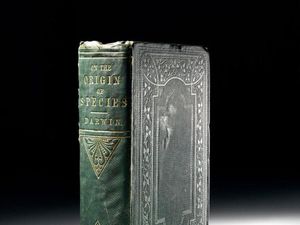 Supporting image for story: First edition of Darwin’s On the Origin of Species sells for £162,500