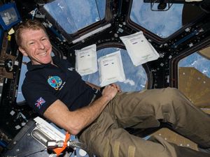 Supporting image for story: Salad seeds sent to outer space ‘grew slightly slower when planted on Earth’