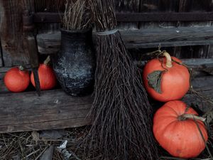 Supporting image for story: Pumpkin picking for spooky fun at Shrewsbury farm