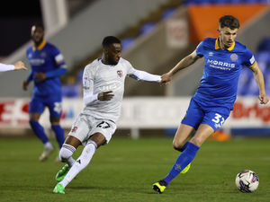 Supporting image for story: Defender's return provides major boost for Shrewsbury 