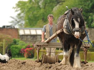 Supporting image for story: Change of name for historic working farm as it looks for key people in time for reopening