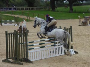 Supporting image for story: Equine success for Oswestry School