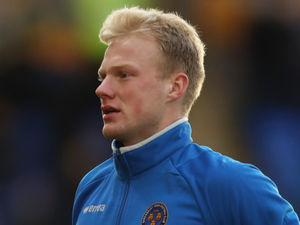 Supporting image for story: Goalkeeper Jonathan Mitchell ready to take Shrewsbury Town chance