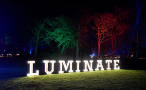Event organisers, Luminate Live, hold the event each year