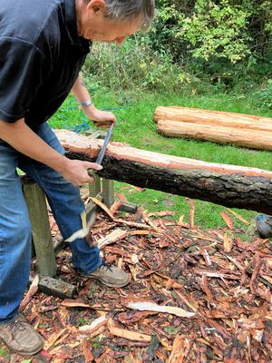 Preparing timber for our new woodland shelter
