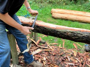 Supporting image for story: Wild about Westhope secures funding for volunteer and woodland initiatives