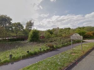 Supporting image for story: Cannock Chase grazing site plans spark concerns