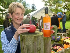 Supporting image for story: Watch: Gallons of apple juice flow as Broseley hosts its annual pressing event