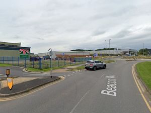 Supporting image for story: Staffordshire garden building firm asks for permission to use unit as new base