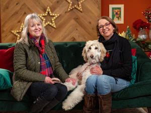 Supporting image for story: Popular TV show looking for people from Shropshire to participate in new series