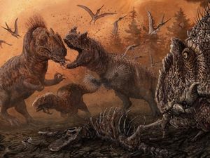 Supporting image for story: Some dinosaurs may have resorted to cannibalism when food was scarce – study