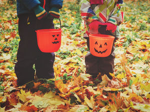 Supporting image for story: Don’t write Halloween off – it’s a scream