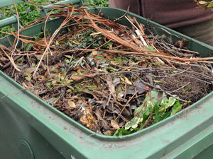 Supporting image for story: £36 bill to take away garden waste bins