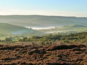 Supporting image for story: Chance to find out about new 'super' National Nature Reserve at town's civic society meeting