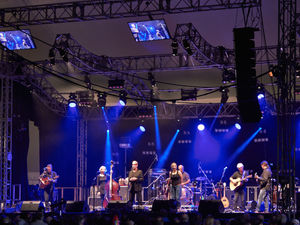 Supporting image for story: Tickets selling fast for Shrewsbury Folk Festival