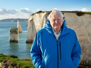Supporting image for story: Sir David Attenborough’s Ocean brought to life with orchestra performance
