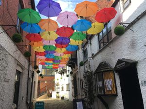Supporting image for story: Brollies brighten up the town