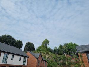 The view from the Tudor Dairies development off Lowndes Road where the mast will appear above the line of trees . Picture Andrew Tromans free for LDRS use