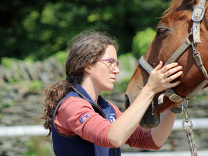 Supporting image for story: Equine holidaymakers enjoy special talk by holistic expert