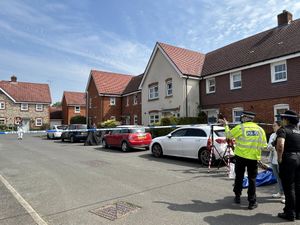 Supporting image for story: Fortunate no-one suffered life-threatening injuries in crossbow incident: police