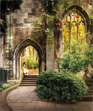 Phil Danby – Gothic Garden