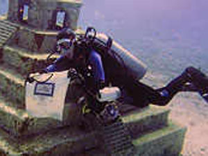 Supporting image for story: The week in pictures