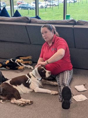 The course was provided by Debbie Ward of Dogs-First-Aid