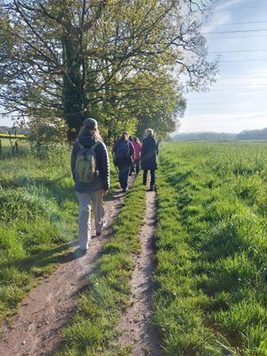 Walkers enjoying sunshine during the festival.