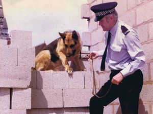 Supporting image for story: West Midlands four-pawed police officers celebrated on International Dog Day 