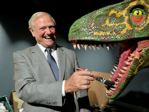 Supporting image for story: Classic car show returns to Red House Glass Cone