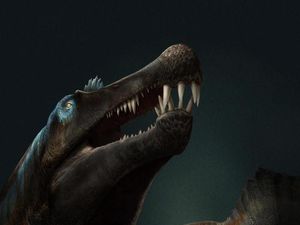 Supporting image for story: Fossil sheds new light on first ‘river monster’ dinosaur
